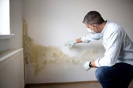 Environmental Consulting for Mold Prevention in Keene, NH